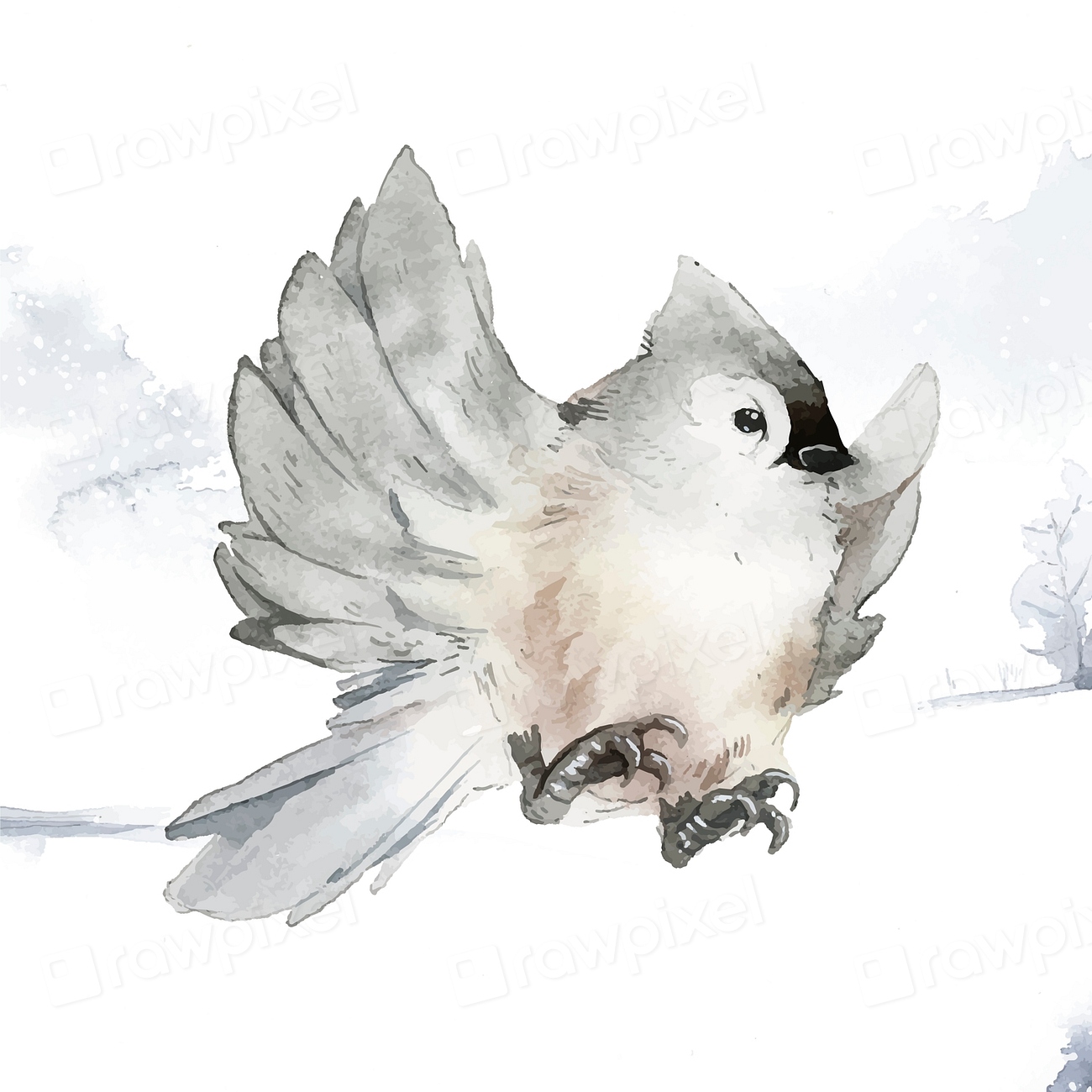 Tufted Titmouse Bird Wintertime Watercolor Premium Vector Illustration Rawpixel