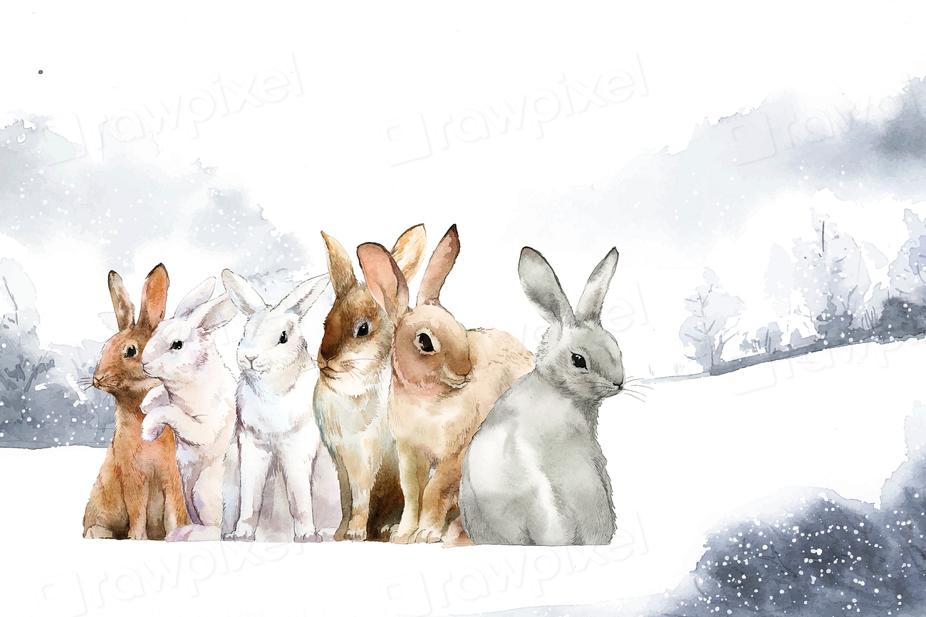 Wild rabbits winter snow painted | Premium Vector Illustration - rawpixel