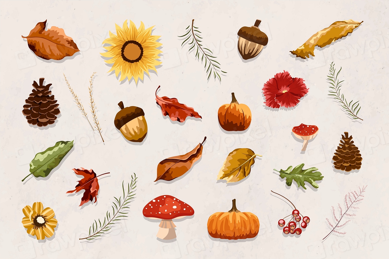 Autumn design elements vector set | Premium Vector - rawpixel