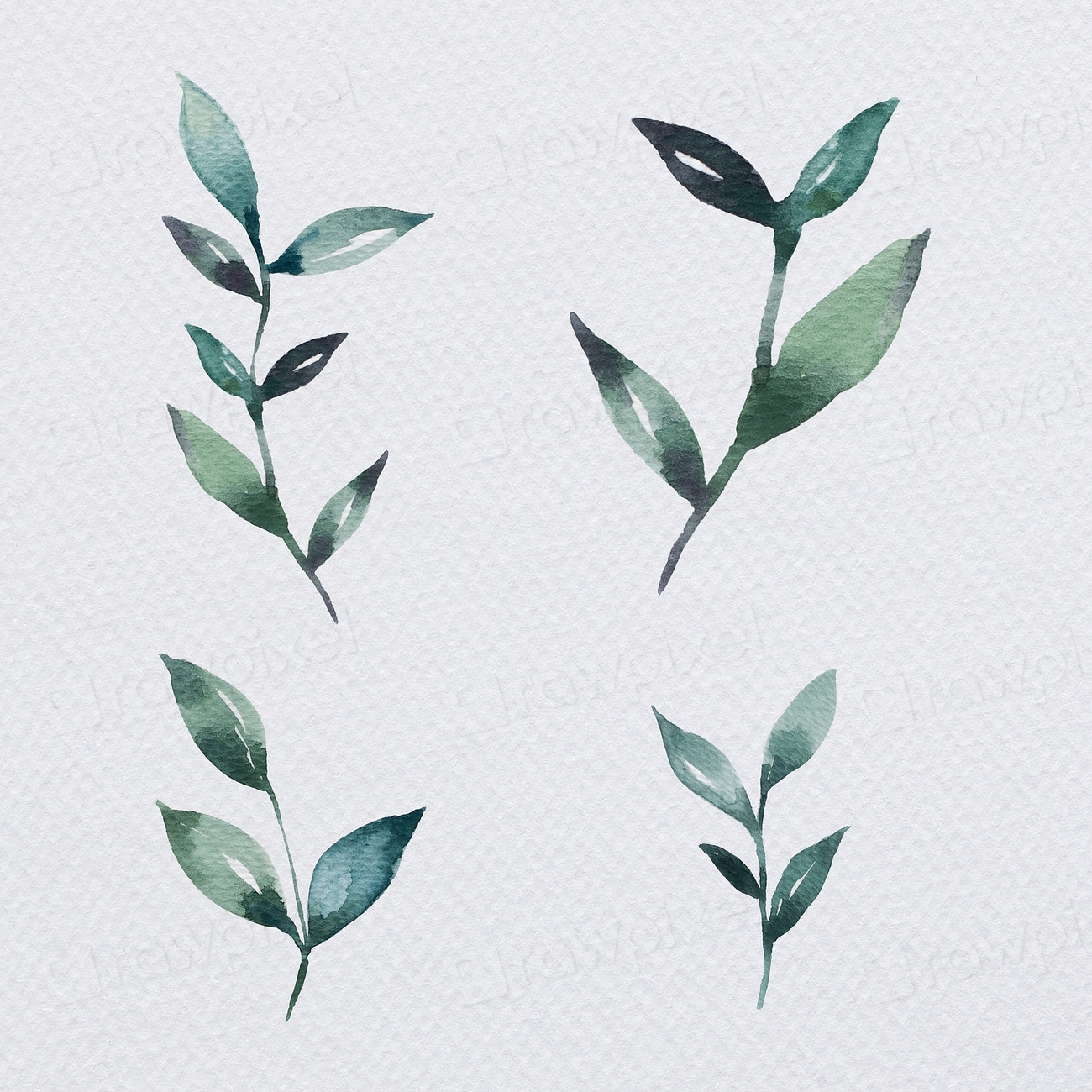 Hand painted water color leaf | Premium PSD - rawpixel