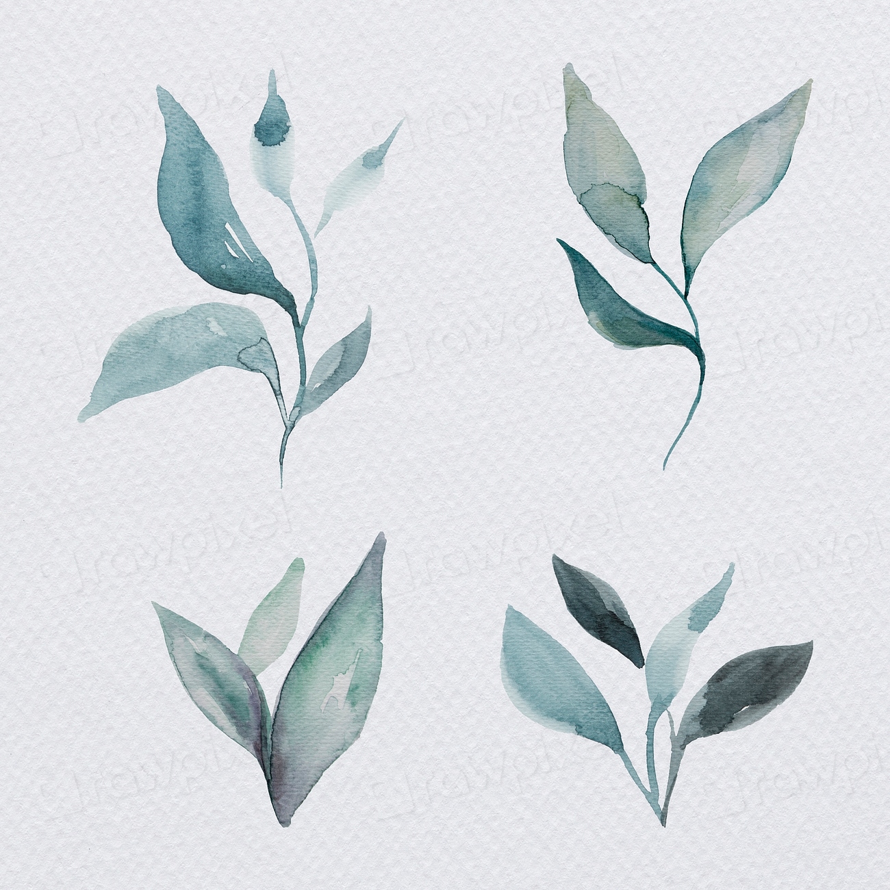 Hand painted water color leaf | Premium PSD - rawpixel