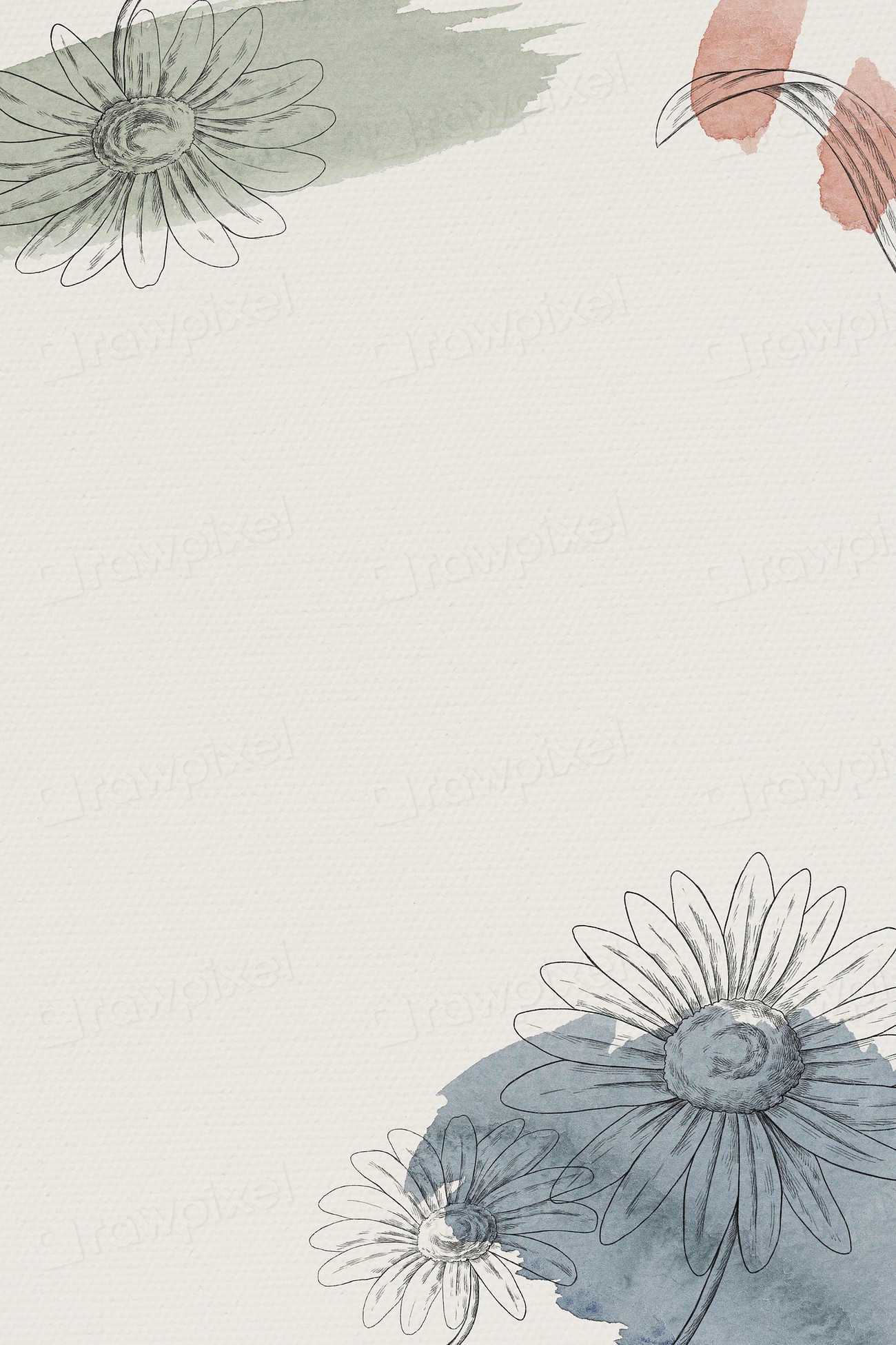 Daisy flower frame beige background | Premium Photo - rawpixel