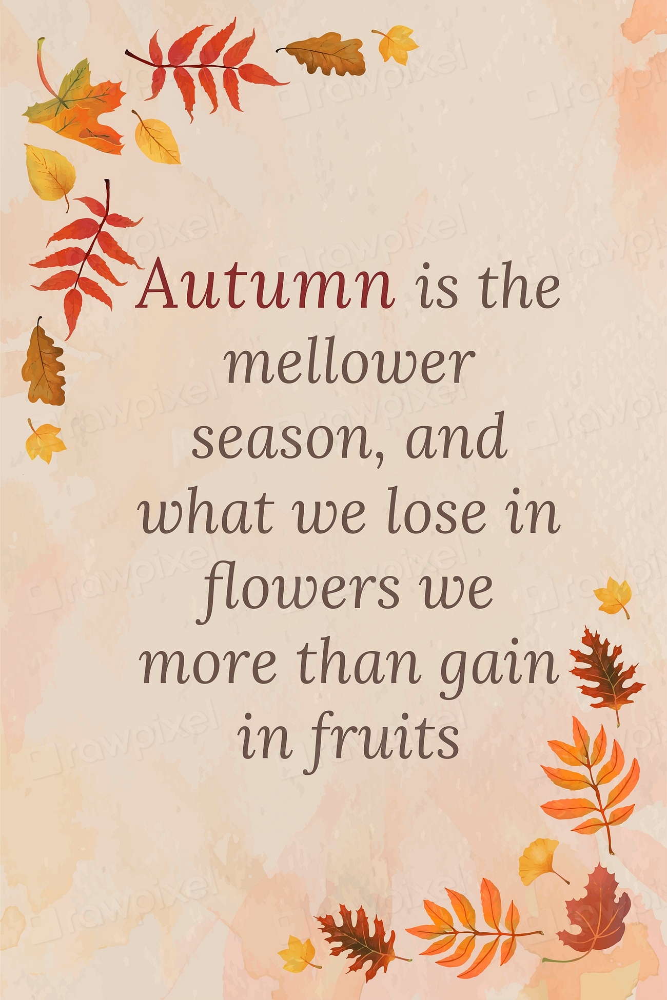 Autumn quote template files pinterest | Premium Vector Template - rawpixel