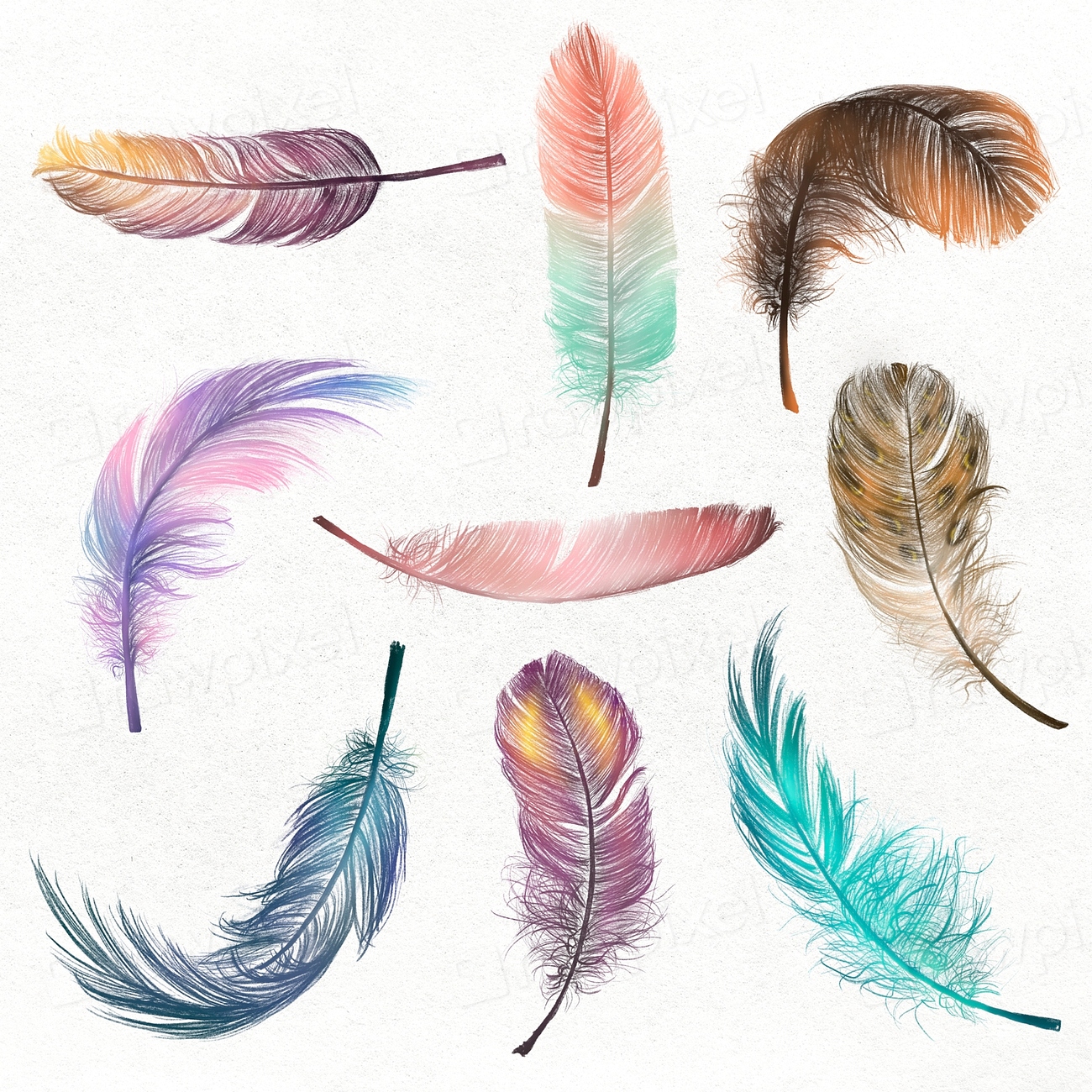 Colorful feather element psd set | Premium PSD - rawpixel