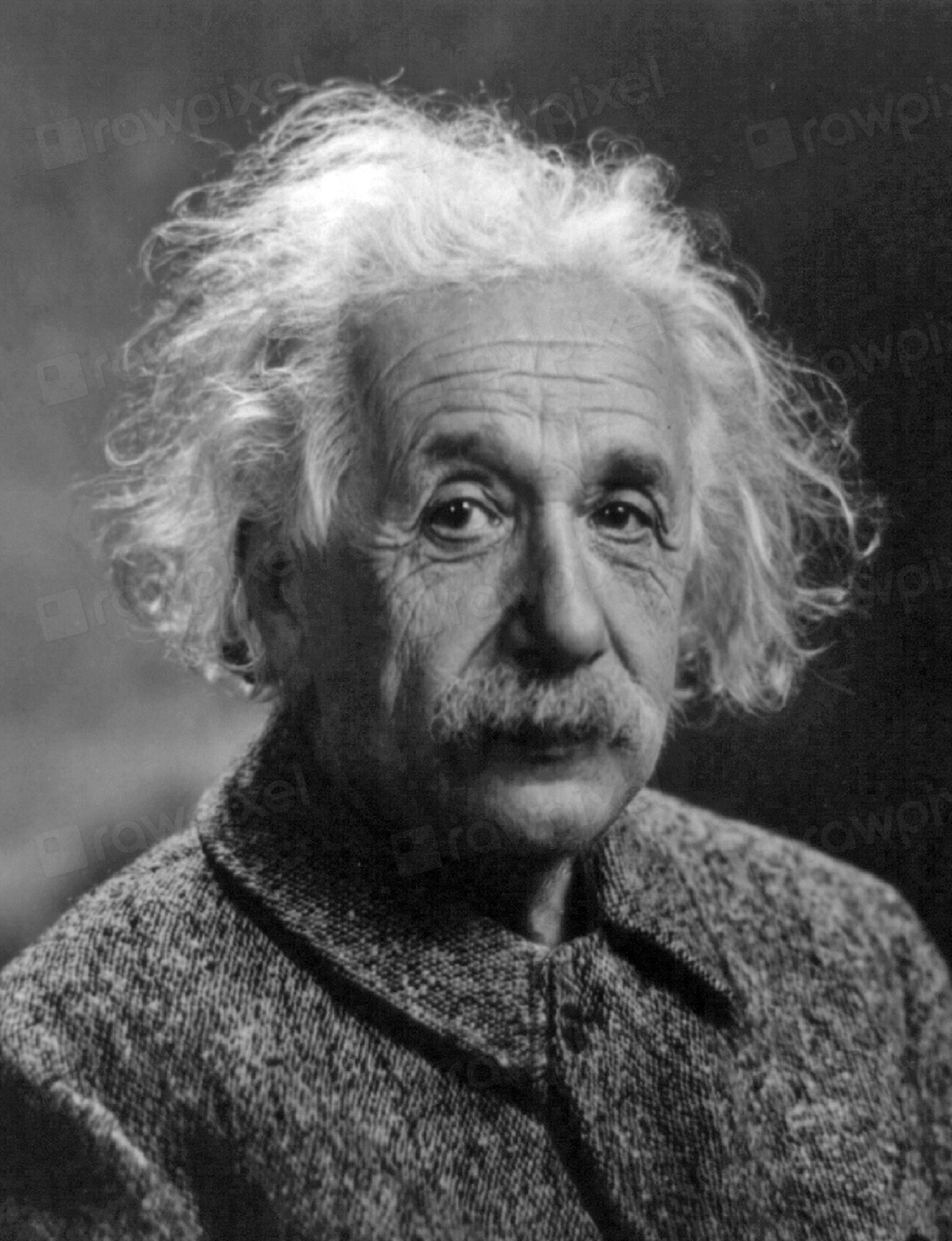 Albert Einstein portrait, famous physicist. | Free Photo - rawpixel