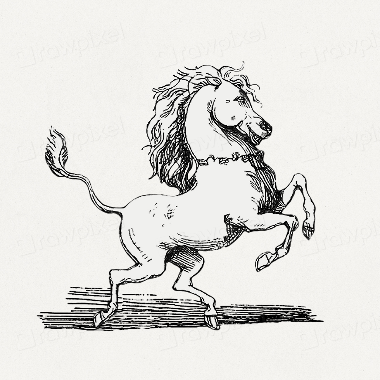 creature-pictures-extra-articles-and-free-photo-illustration-rawpixel