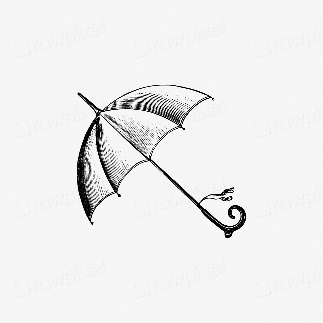Vintage Victorian style umbrella engraving. Free Photo Illustration