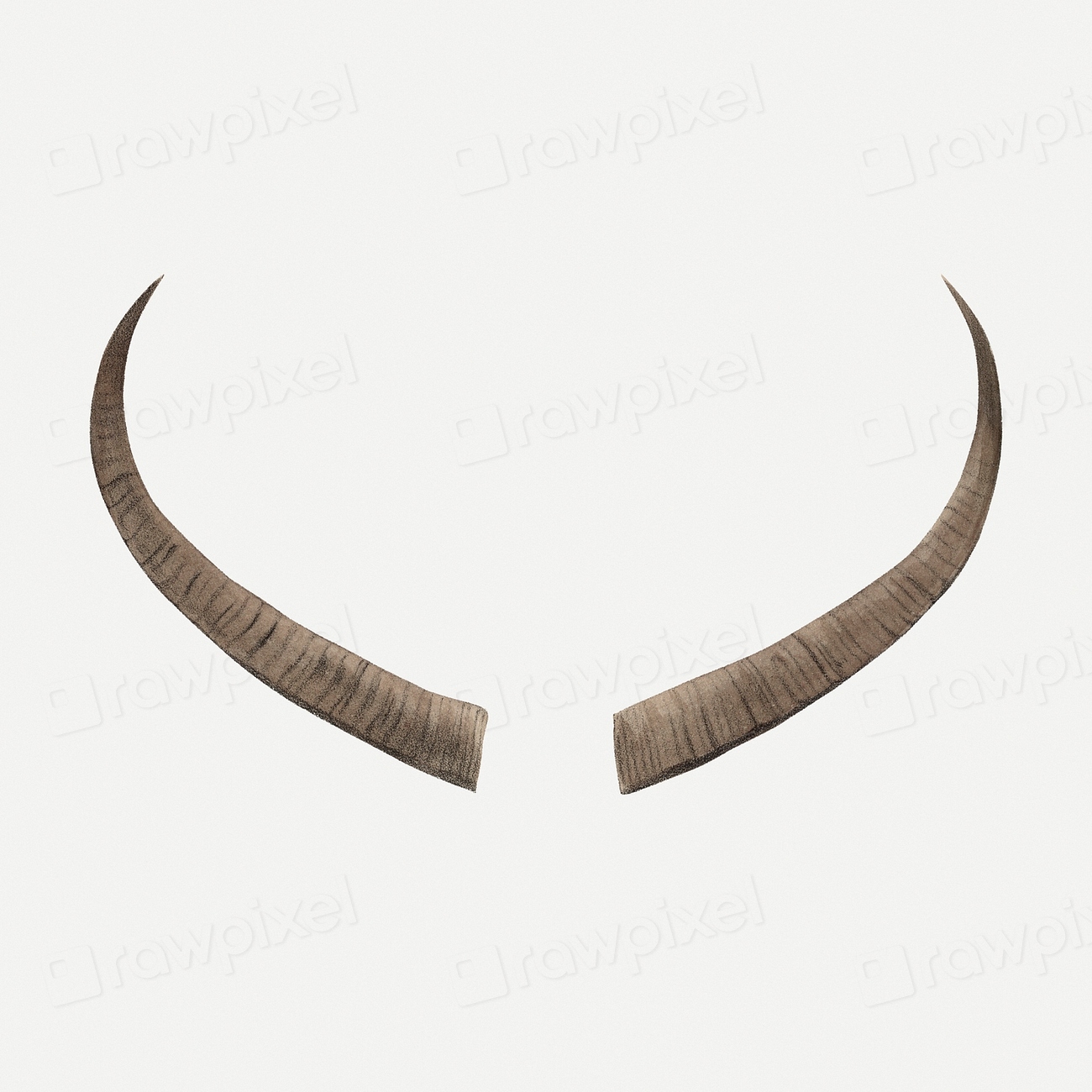 Animal horns clipart, vintage animal | Premium PSD Illustration - rawpixel
