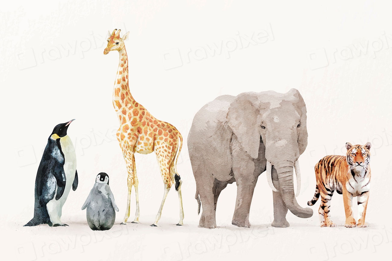 Wildlife animal illustration vector collection, | Premium Vector ...