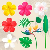 Vibrant tropical flowers and leaves set psd