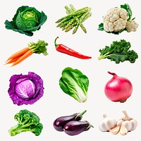 Fresh colorful organic vegetables variety set psd