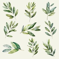 Watercolor botanical leaves  set psd