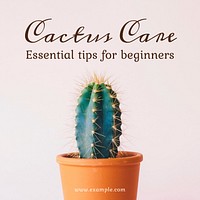 Cactus care Instagram post template
