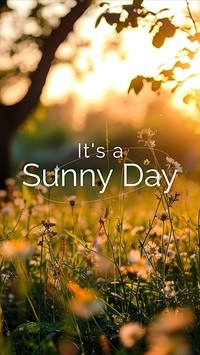 Sunny day Facebook story template