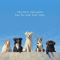 Pet  quote Instagram post template