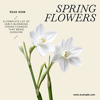Spring flowers Instagram post template