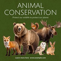Animal conservation Instagram post template
