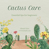 Cactus care Instagram post template