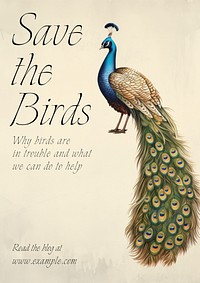 Save the birds  poster template