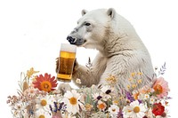 Polar bear holding beer flower beverage wildlife.