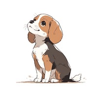 Beagle Dog beagle dog animal.