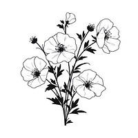 Love-in-a-Mist flower illustrated graphics pattern.