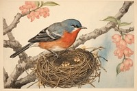 Robin bird in nest painting animal finch.