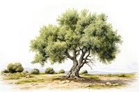 Olive tree painting vegetation sycamore.