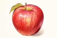 Apple apple produce fruit.
