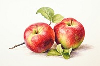 Apples apple produce fruit.