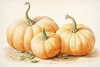 Pumpkins pumpkin vegetable produce.