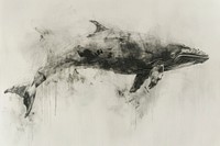 Right Whale whale illustrated drawing.