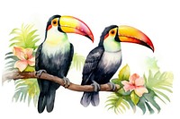 Illustration of toucan couple bird animal beak.