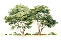 Illustration of trees art illustrated painting.