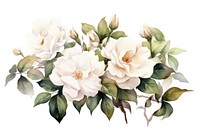 Illustration of white roses art accessories accessory.