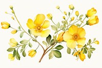 Illustration of yellow flowers art asteraceae graphics.