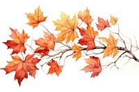 Illustration of autumn leaves plant maple leaf.
