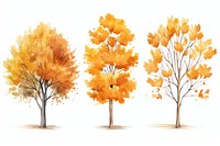 Illustration of autumn trees art painting outdoors.