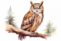 Illustration of owl bird animal person human.