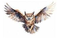 Illustration of owl bird flying animal.