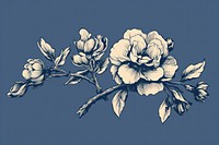 Blue camellia graphics pattern blossom.
