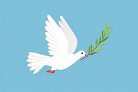 White Dove carrying olive leaf dove animal pigeon.