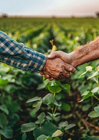 Two farmers in soy field hand person human.