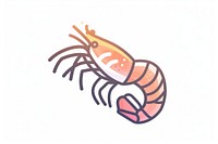 Shrimp Ico shrimp invertebrate dynamite.