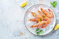 Fresh shrimps with ice on plate with lemon food invertebrate lobster.
