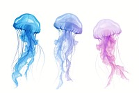 Silhouettes jellyfish invertebrate animal person.