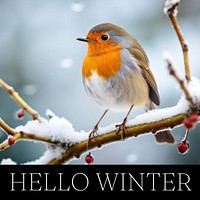 Hello Winter Instagram post template  