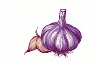 A vector graphic of garlic vegetable produce plant.