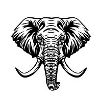 Elephant illustrated wildlife drawing.