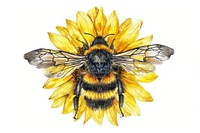 Sunflower bee invertebrate bumblebee.
